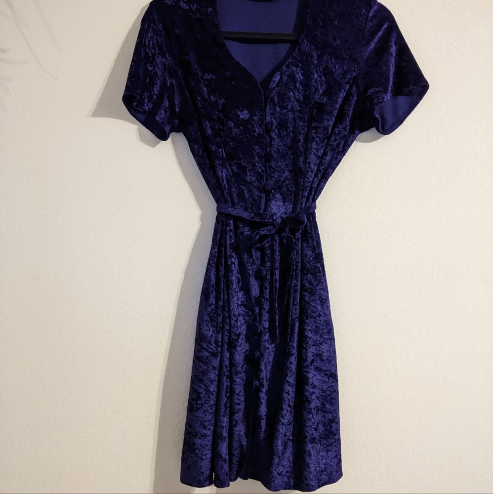 Vintage Velvet Dress